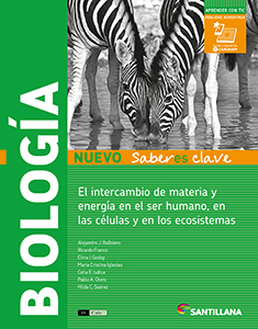 Imagen Producto